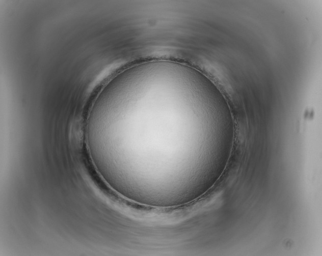 X0000092000016200709061448