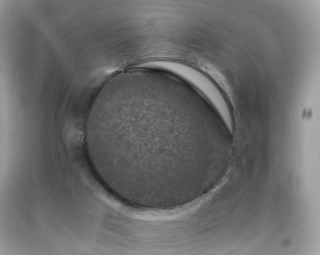 X0000092000017200709061448