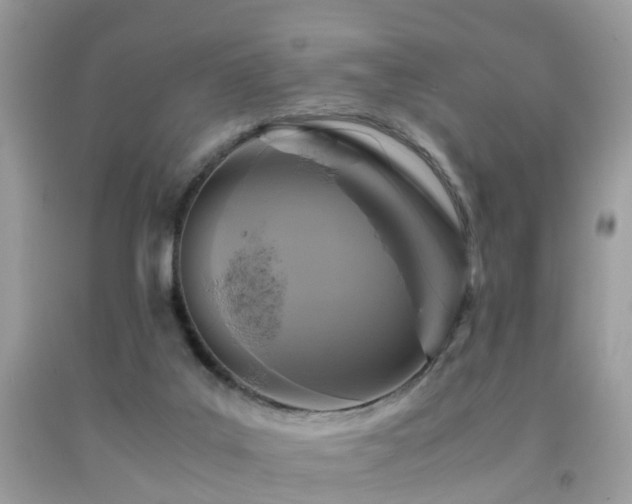 X0000092000019200709061448