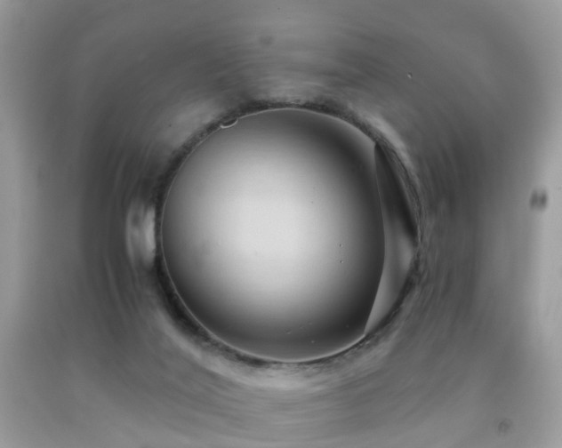 X0000092000020200709061448