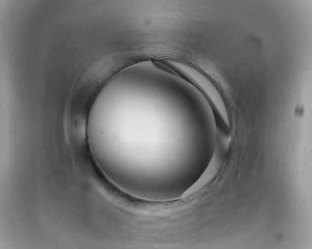 X0000092000021200709061448