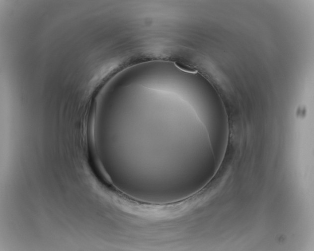 X0000092000023200709061448