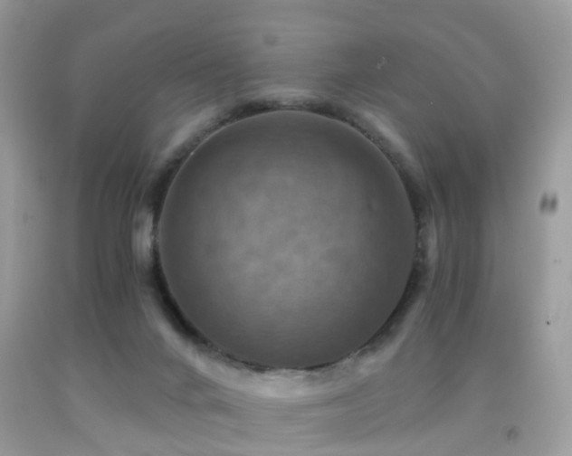 X0000092000024200709061448