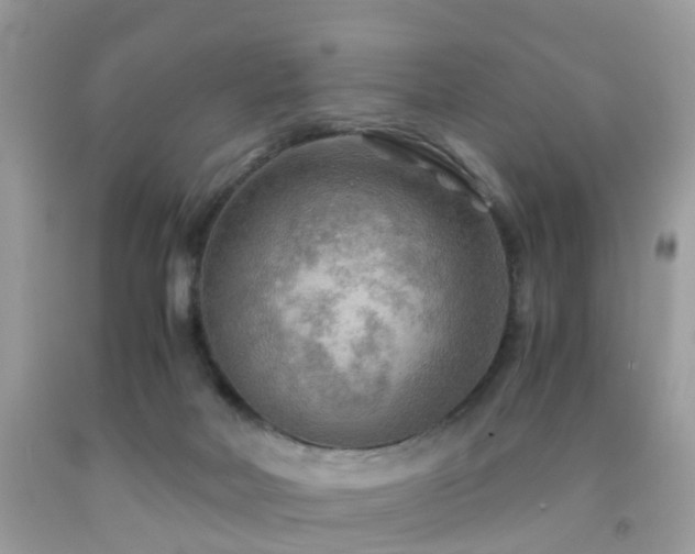 X0000092000026200709061448