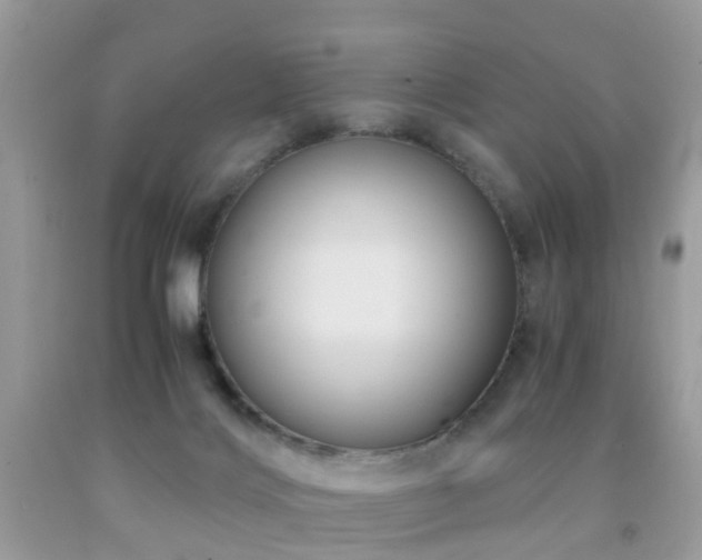 X0000092000028200709061448