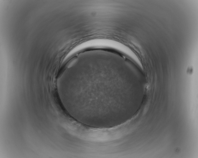 X0000092000029200709061448