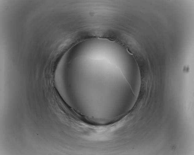 X0000092000031200709061448