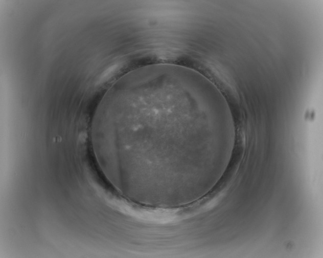 X0000092000032200709061448