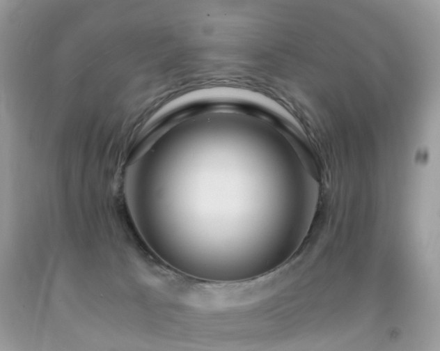 X0000092000033200709061448