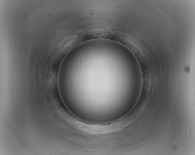 X0000092000034200709061448