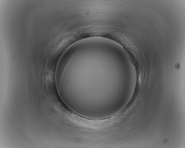 X0000092000035200709061448