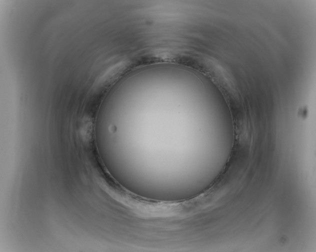 X0000092000036200709061448