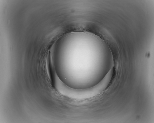 X0000092000037200709061448