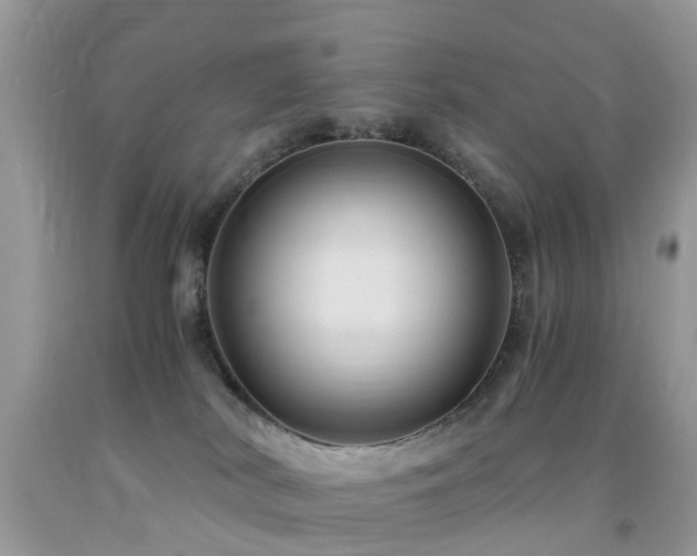 X0000092000038200709061448