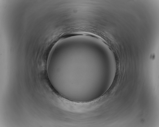 X0000092000039200709061448