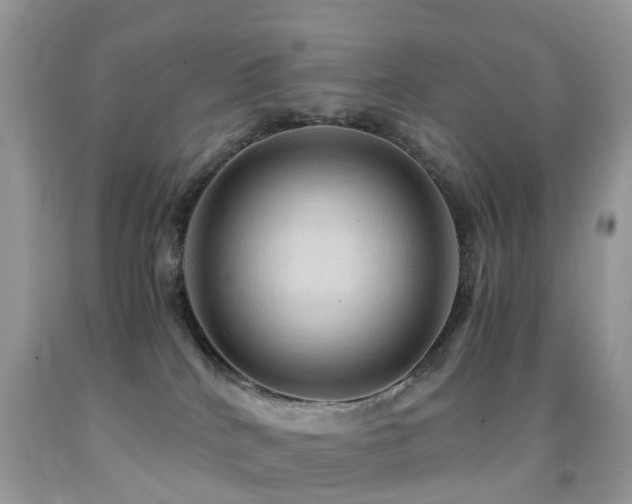 X0000092000040200709061448