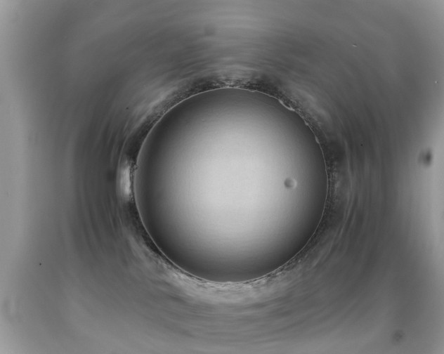 X0000092000042200709061448