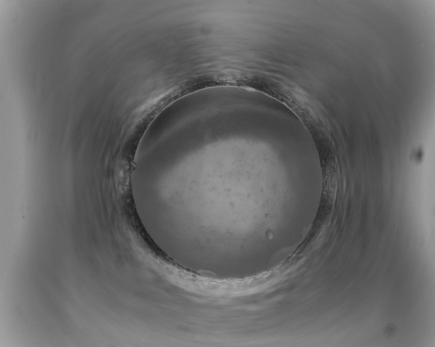 X0000092000043200709061448