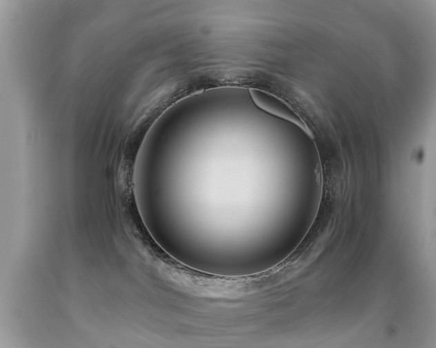 X0000092000044200709061448