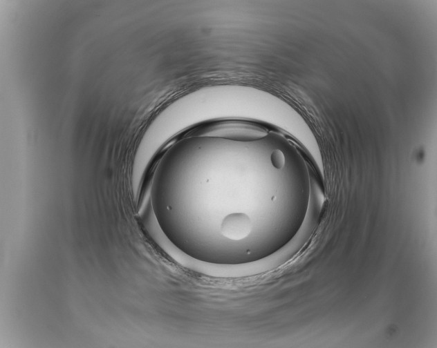 X0000092000045200709061448