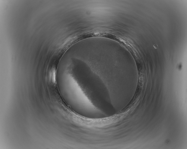 X0000092000046200709061448