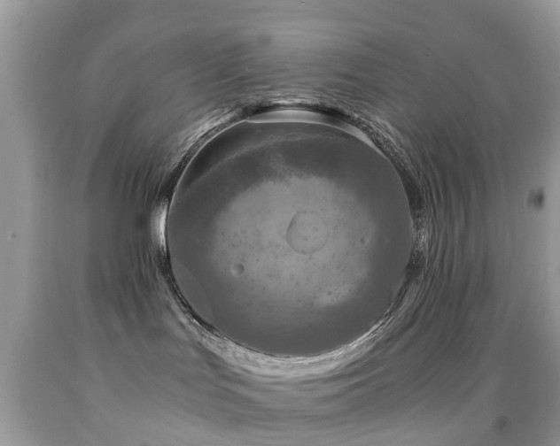 X0000092000047200709061448