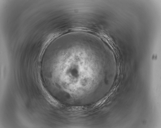 X0000092000049200709061447