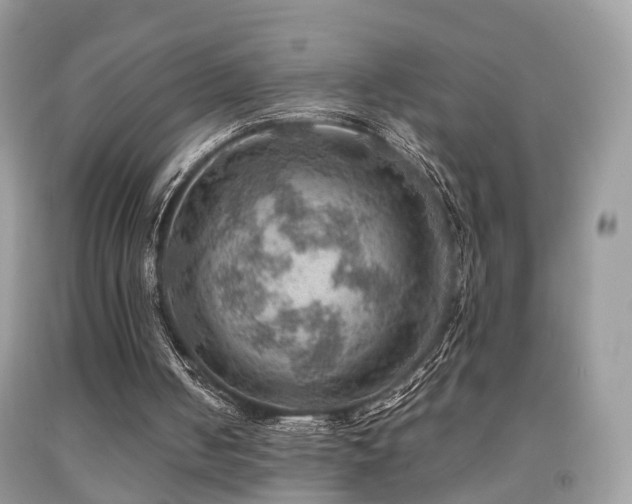 X0000092000050200709061447