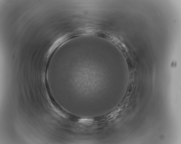 X0000092000051200709061447