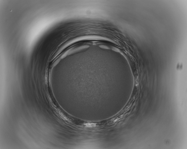 X0000092000052200709061447