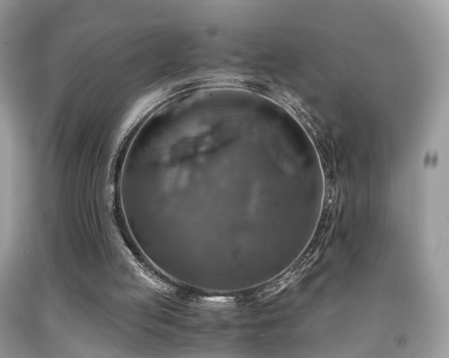 X0000092000053200709061447