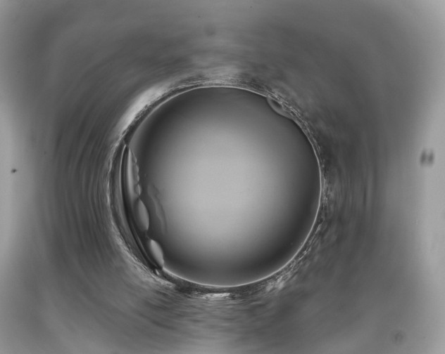 X0000092000054200709061447