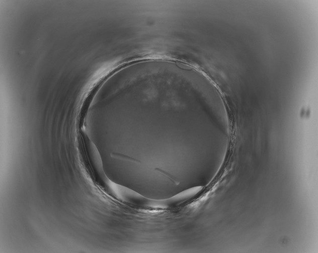 X0000092000055200709061447