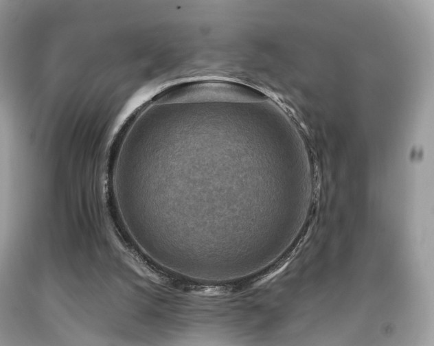 X0000092000056200709061447