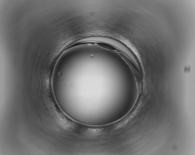 X0000092000057200709061447