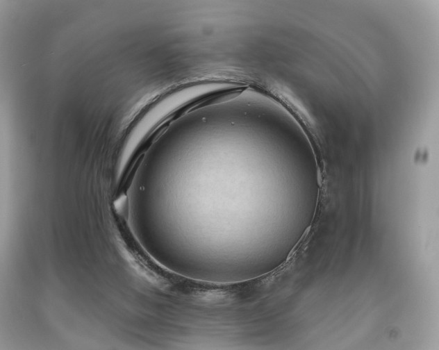 X0000092000058200709061447