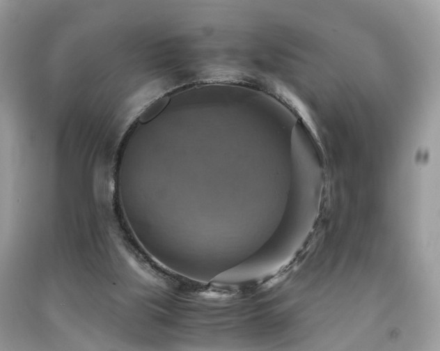 X0000092000059200709061447