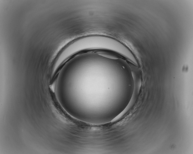 X0000092000060200709061447