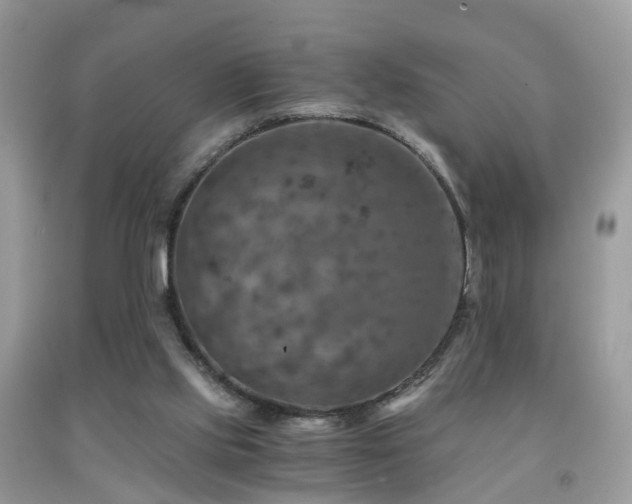 X0000092000061200709061447