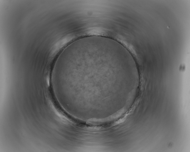 X0000092000062200709061448