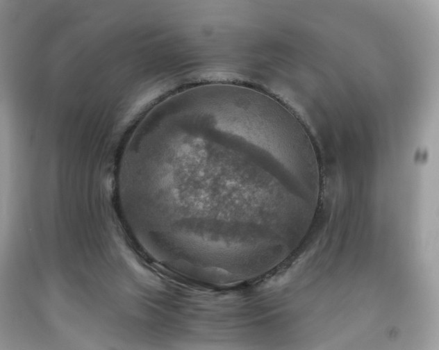 X0000092000063200709061448