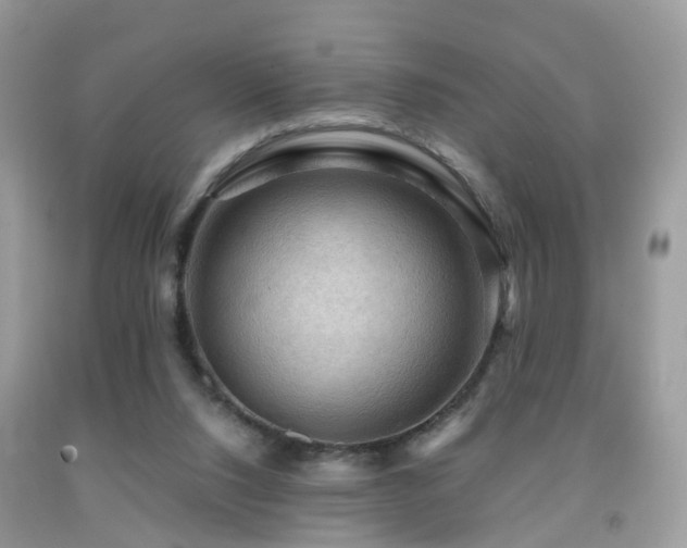 X0000092000064200709061448