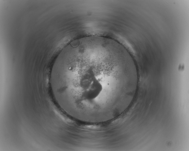 X0000092000065200709061448