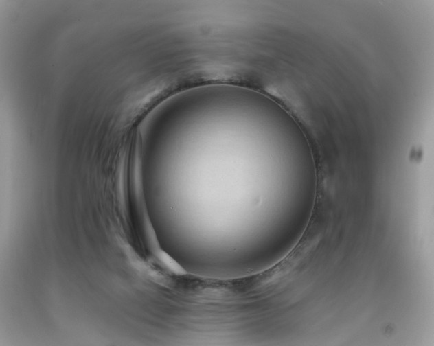 X0000092000066200709061448