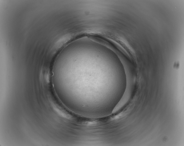 X0000092000068200709061448