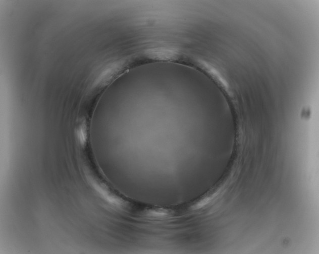 X0000092000069200709061448