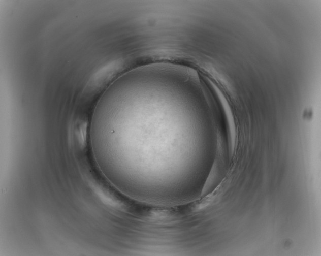 X0000092000070200709061448