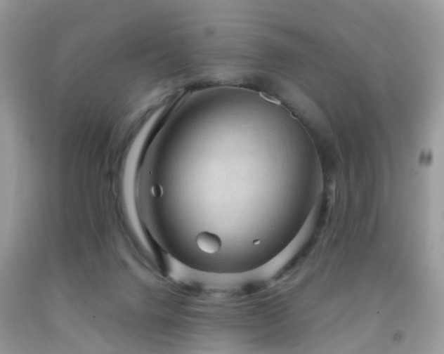 X0000092000072200709061448