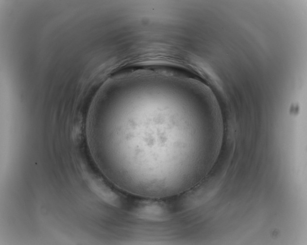 X0000092000073200709061448