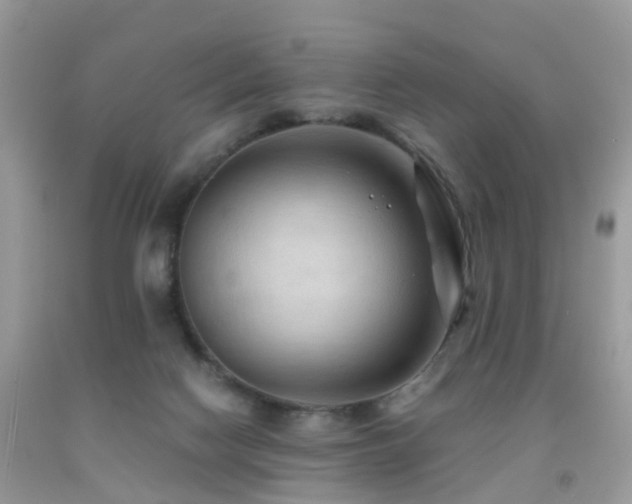 X0000092000074200709061448